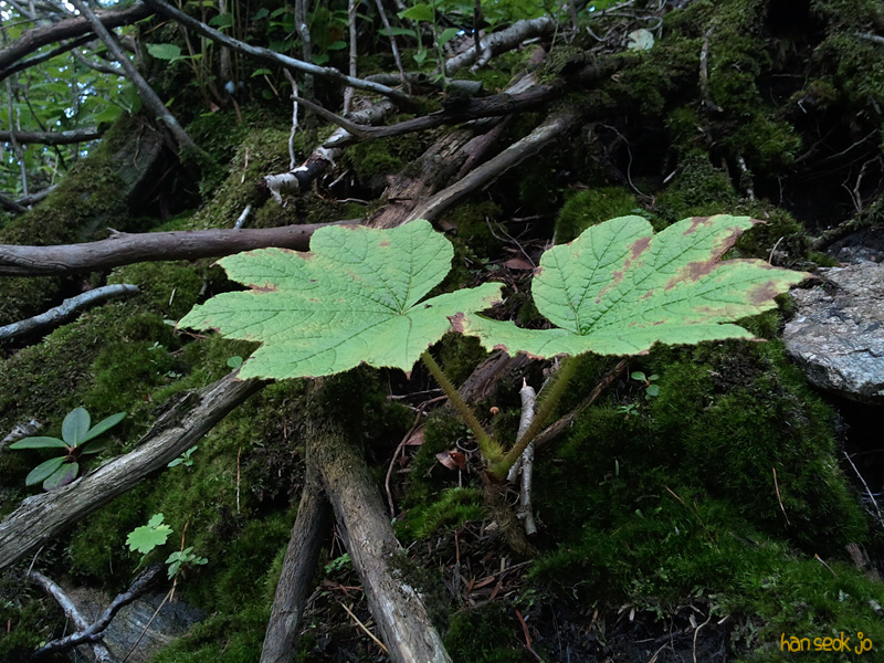2010-07-27 17.13.24.jpg
